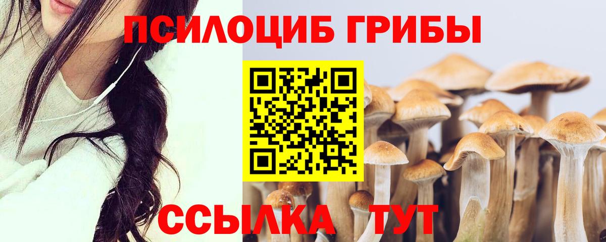 Галлюциногенные грибы Magic Shrooms Нововоронеж
